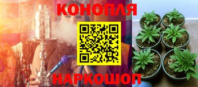 jwh Тара