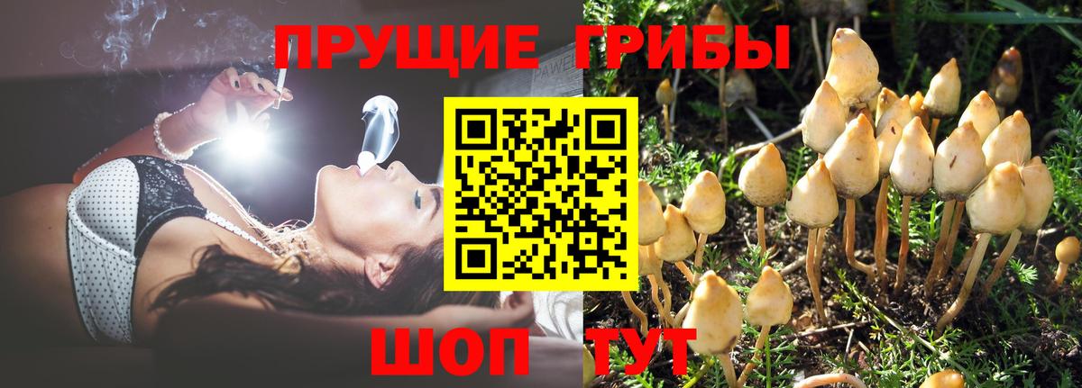 COCAIN  ГАШ  Вейп ТГК  Меф   Нижнеудинск  Вход с VPN  Бошки Шишки 