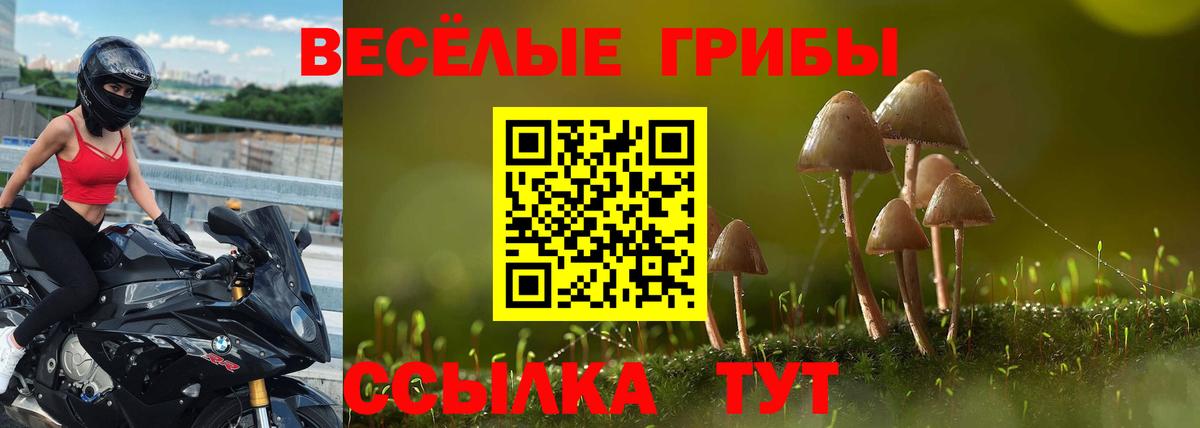 Галлюциногенные грибы Magic Shrooms  Вход с VPN  Нижнеудинск 